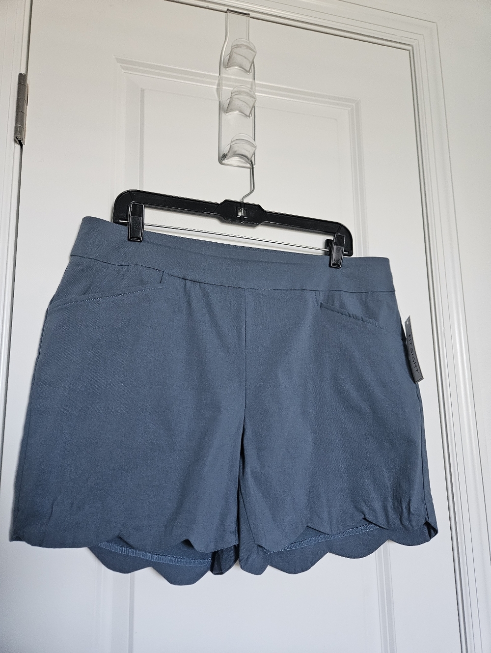 NWT Womens Fit Sight Scallop Hem Shorts In Blue Size Xl Petite